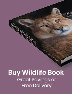 Left Banner Image 1